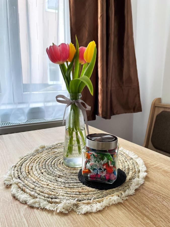 La Mary In Old Town Apartment Сибиу Екстериор снимка